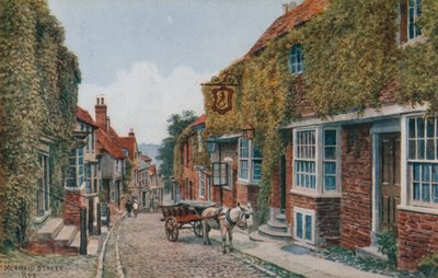 Mermaid Street, Rye da Alfred Robert Quinton